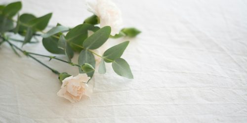 jacinta-christos-pJ8WXG5C_5U-unsplash 시흥빈집정리비용